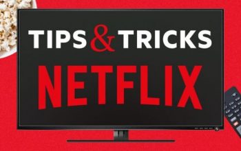 Should Be Things You Need to Know About Netflix